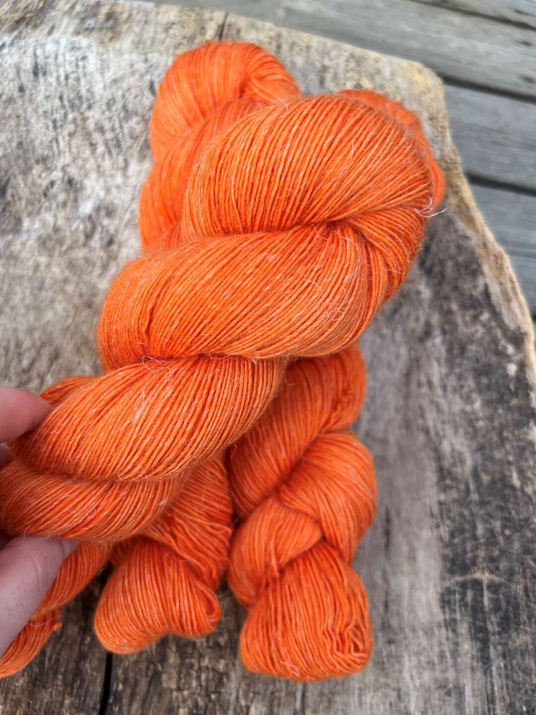 Merlin - Carrot