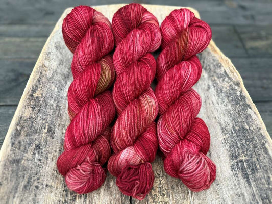 Goldsock - Amaryllis