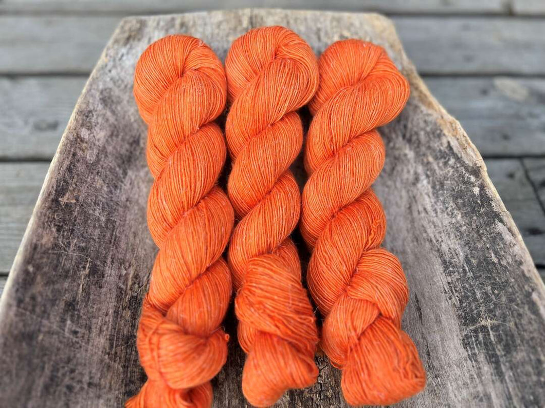 Merlin - Carrot
